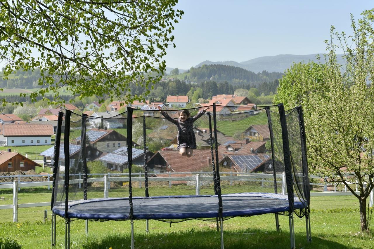 Pension Waldkristall Frauenau Exterior foto